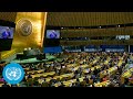 East Jerusalem & Palestinian Territories | Emergency UN General Assembly (Resumed) | United Nations