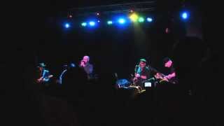 Flesh Eaters--Constellation Room--1/8/15--River of Fever