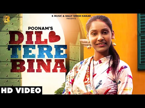 Dil Tere Bina