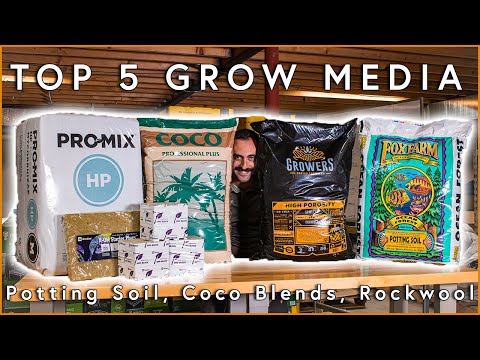The Top 5 Grow Media