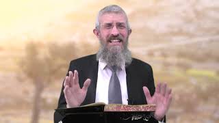 מסכת מנחות דף קב - 8 דקות של לומדות ועמקות בדרך הלימוד הישיבתית [Menachot 102]