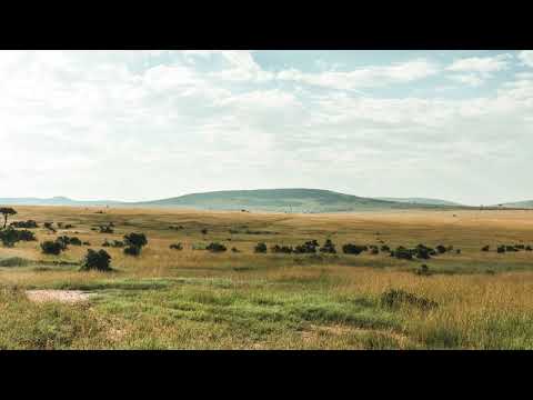 Da Capo Ft Jethro Tait - Better