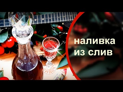 НАЛИВКА из слив