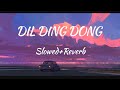 DIL DING DONG BOLE Slowed Reverb
