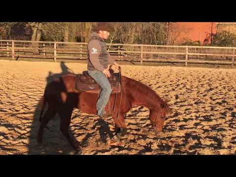 Quick Tipp: Tempokontrolle