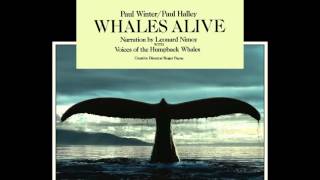 Paul Winter & Paul Halley - Whales Weep Not! (Overture)