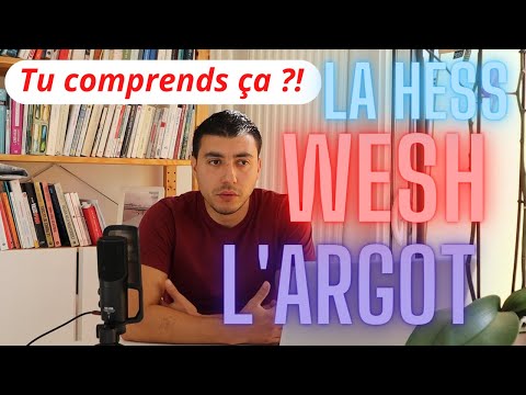 SLANG or NOTHING | This is not a French course | After this, you'll know how to use slang!