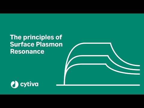 Prinzipien der Oberflächenplasmonenresonanz (SPR) in Biacore™-Systemen – Cytiva