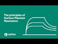 Principles of surface plasmon resonance (SPR) used in Biacore™ systems - Cytiva
