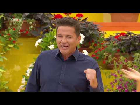 Michael morgan in tiefe der nacht  immer wieder sonntags