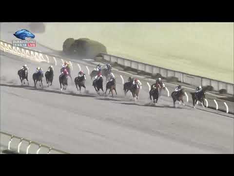 2020.02.23 February Stakes (JPN) - Mozu Ascot