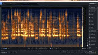 Video thumbnail for RX 8 Introduction & Spectrogram Basics by Groove3