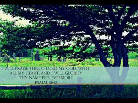 Thumbnail for Praise the Lord Who Reigns Above video