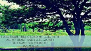 Praise the Lord Who Reigns Above