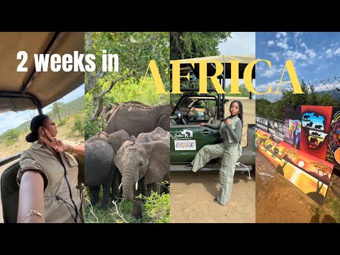 SOUTH AFRICA TRAVEL VLOG: 2 WEEKS IN MOTHER LAND, SAFARI, VILLAGE TOUR, WINERY, EXPLORING AFRICA