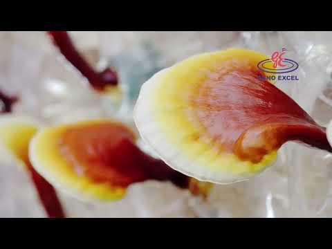 Single Video thumbnail