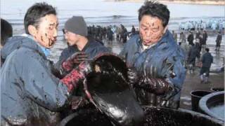 Bp oil Spill (Headed for the End of the World) Bodeans