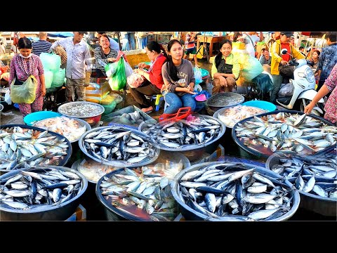 Amazing Seafood Area. Fish Market Cambodian. Shrimp, Lobster, Fish, Crab, Freshwater Snails.