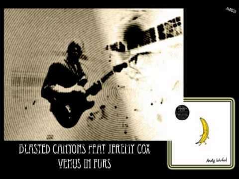 Blasted Canyons feat Jeremy Cox - Venus In Furs