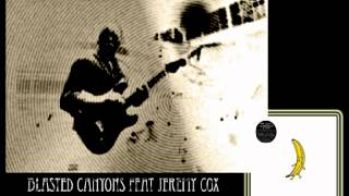 Blasted Canyons feat Jeremy Cox - Venus In Furs