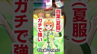 【ぷにぷに攻略】絶対回すべきガシャ 四葉(夏服)超アップ 五等分の花嫁コラボ第三弾