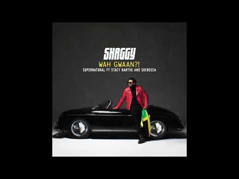 Shaggy - Supernatural ft. Stacy Barthe & Shenseea (Official Audio)