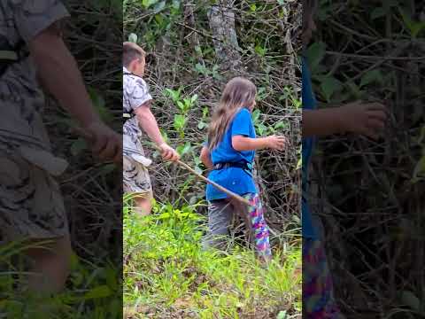 Reserva Forestal El Montuoso, Chepo, Provincia de Herrera, Las Minas, Panama