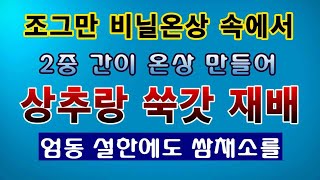 [텃밭농부. 1,304]  한겨울에 상추와 쑥갓을 이렇게도 키웁니다! 상추재배 #쑥갓재배