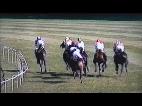 Nagroda Widzowa - 8.06.2003 - Traminer (Chef Supreme - Turówka)