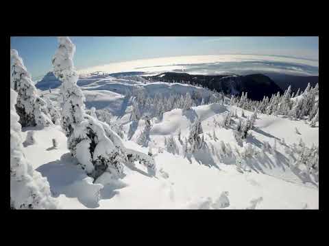 WINTER feat. Vivaldi-Techno mix by LANNE & BLAZE U