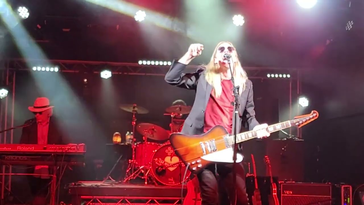 Promotional video thumbnail 3 for The Wildflowers - A Tribute to Tom Petty