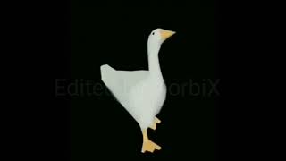 Cover art for El Pepe