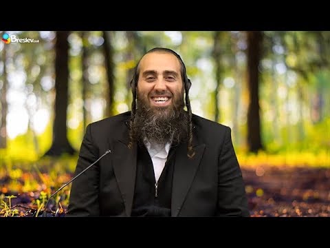 Lebensqualität | Rabbiner David Kraus