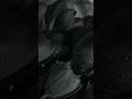 Vennilave Vennilave Vinnaithandi Varuvaya Song Whatsapp Status Love Reels Arrahman Shorts
