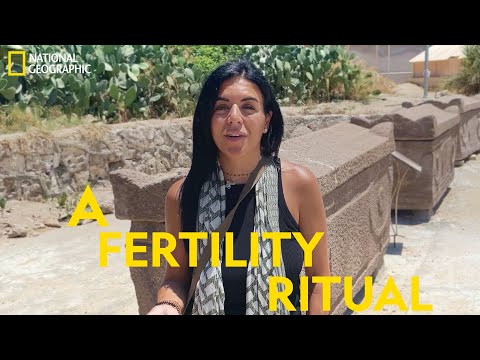 Learning From The Locals With National Geographic Explorer Nora Shawki