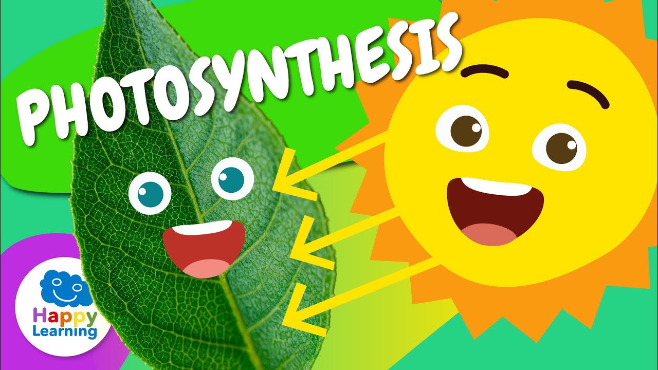 🌱☀️ PHOTOSYNTHESIS: How PLANTS make FOOD? | Educational Videos for Children | @HappyLearningEN