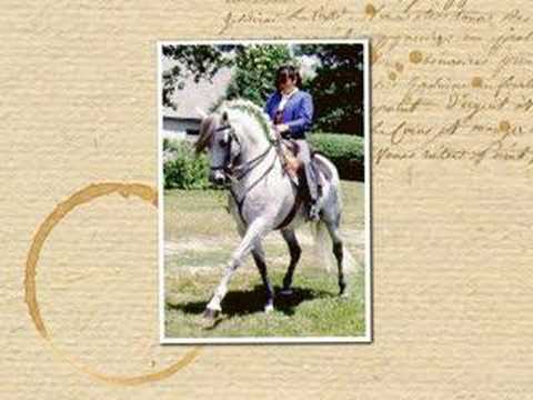 HORSE WITH NO LEGS video thumbnail