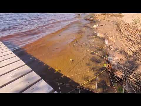 peace of mind/ STUDENT IN FINLAND JOURNEY 🇫🇮