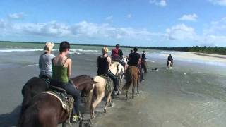 preview picture of video 'River crossing with the horses'