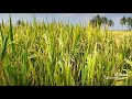 Intha Vinnil Anantham Song