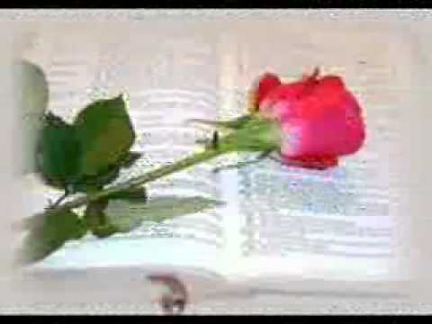 Cosmin Pasca - Pe acest pamant Isuse