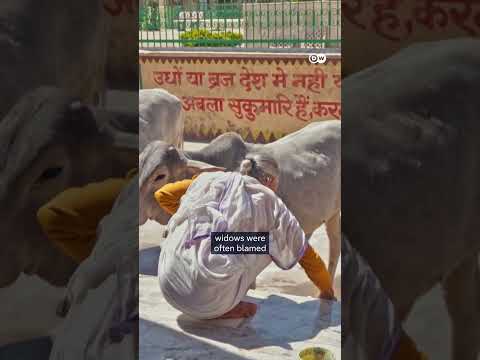Widows In India Are Fighting Against Prejudice | Dw Documentary