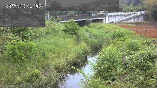 追分橋映像監視局