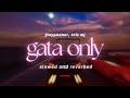 GATA ONLY SLOWED