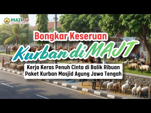 Bongkar Keseruan Kurban di Masjid Agung Jawa Tengah : Sapi Seberat 1,1 Ton dari Rakyat untuk Rakyat