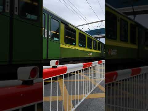 Bray Daly Level Crossing County.Wicklow