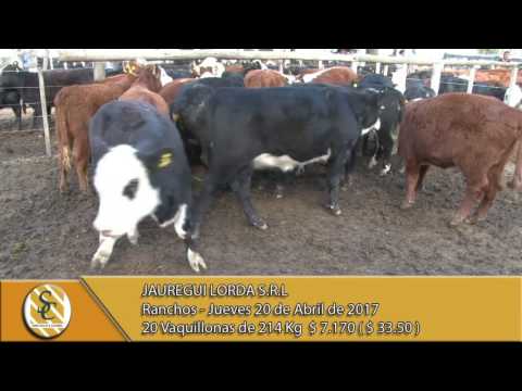 20-04-17 Venta de Hembras - Jauregui Lorda S.R.L. - Ranchos