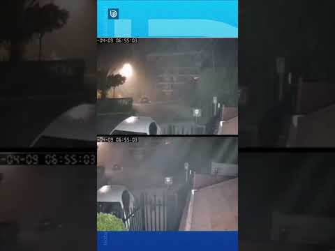 No, no es lluvia: Cámara capta impresionante plaga de mosquitos que se registra en Gran Concepción