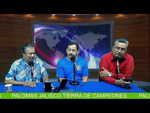 PALOMAS, JALISCO, TIERRA DE CAMPEONES. ENTREVISTA A PORFIRIO ALMANZA