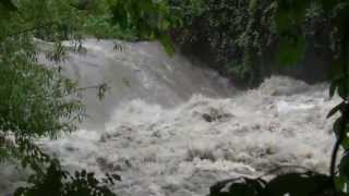 preview picture of video 'Lauter Hochwasser Wendlingen 01 Juni 2013'